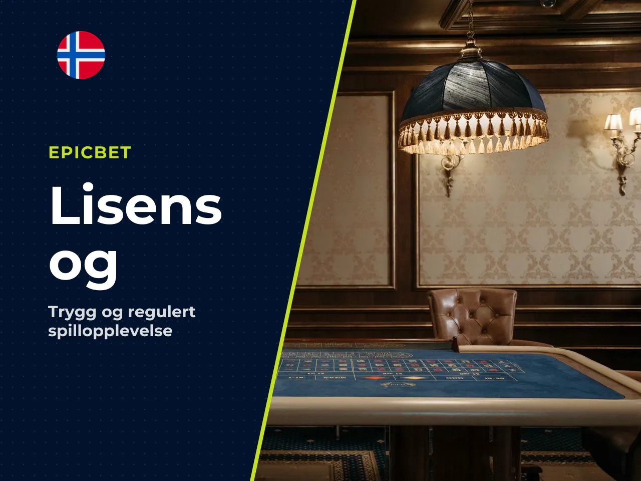 Sjekk lisens, sikkerhet og tilgjengelighet. Norske