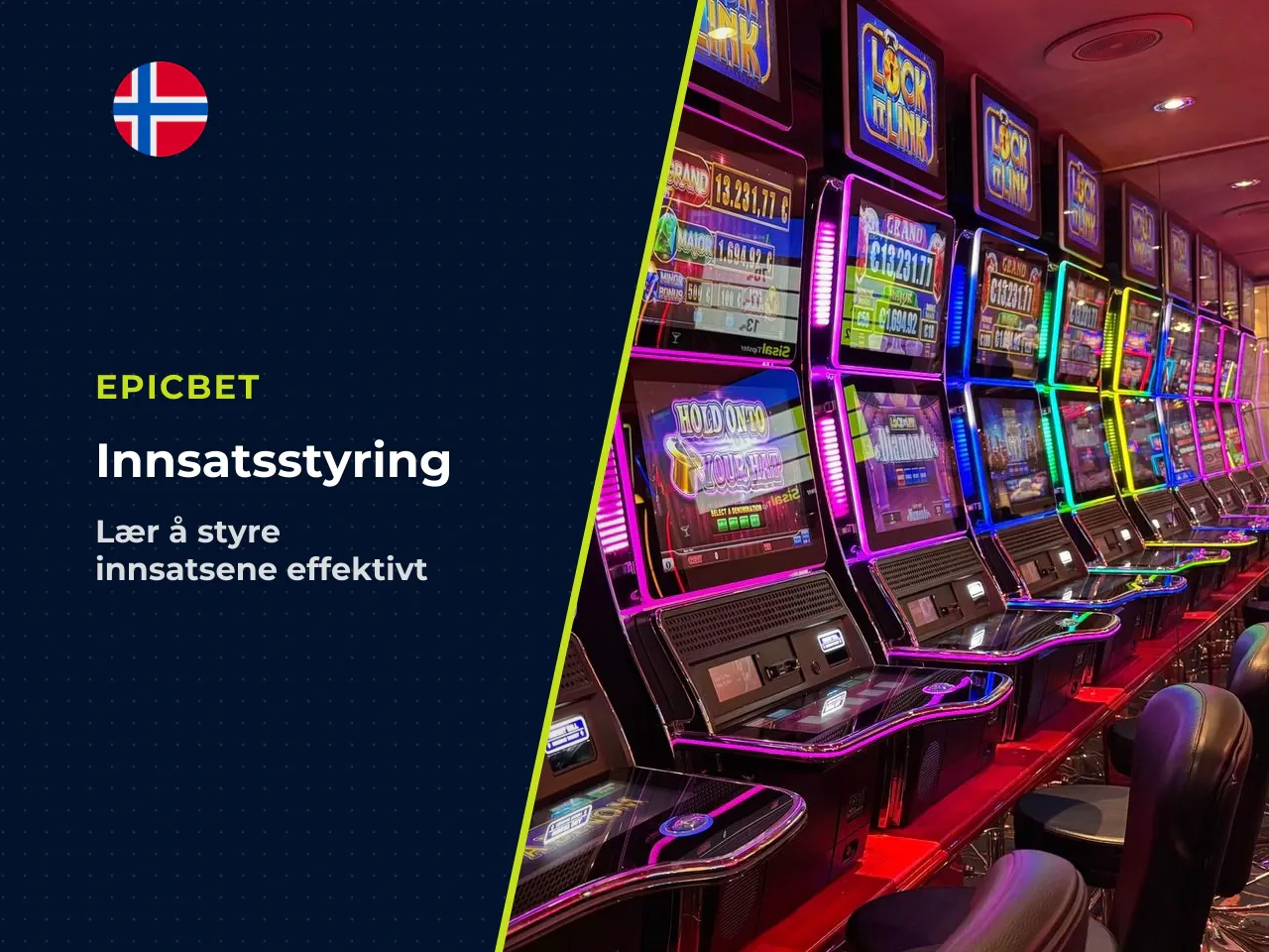 12. Innsatsstyring og ansvarlig bruk av