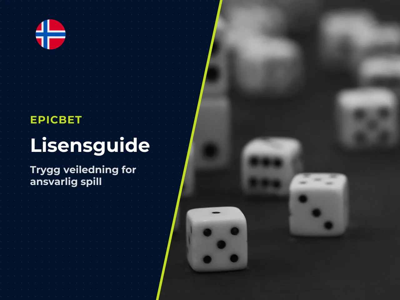 Lisenser og skatt to punkter du