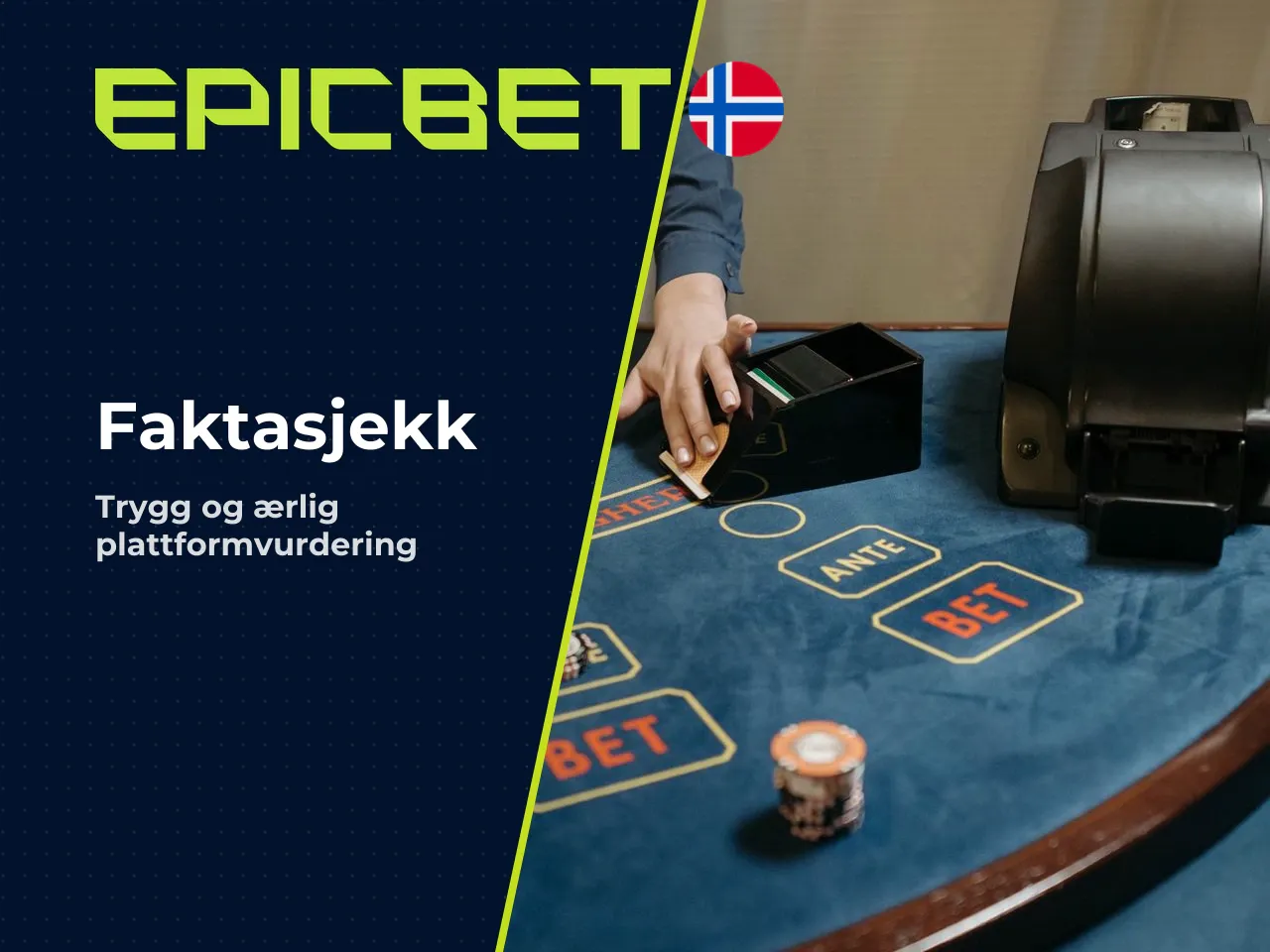 Slik faktasjekker du selskaps- og vilkårsinformasjon