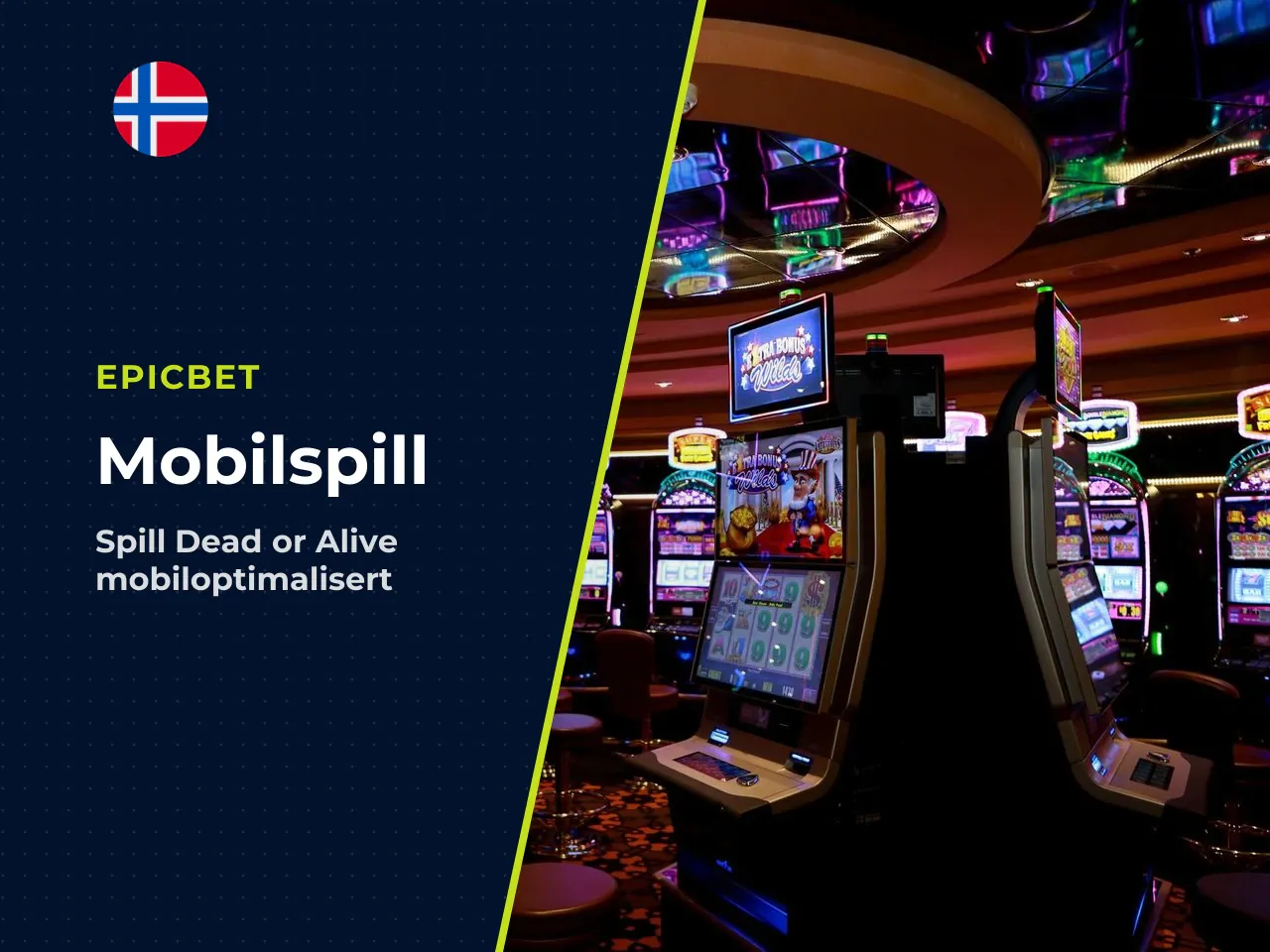14. Dead or Alive mobil NetEnt