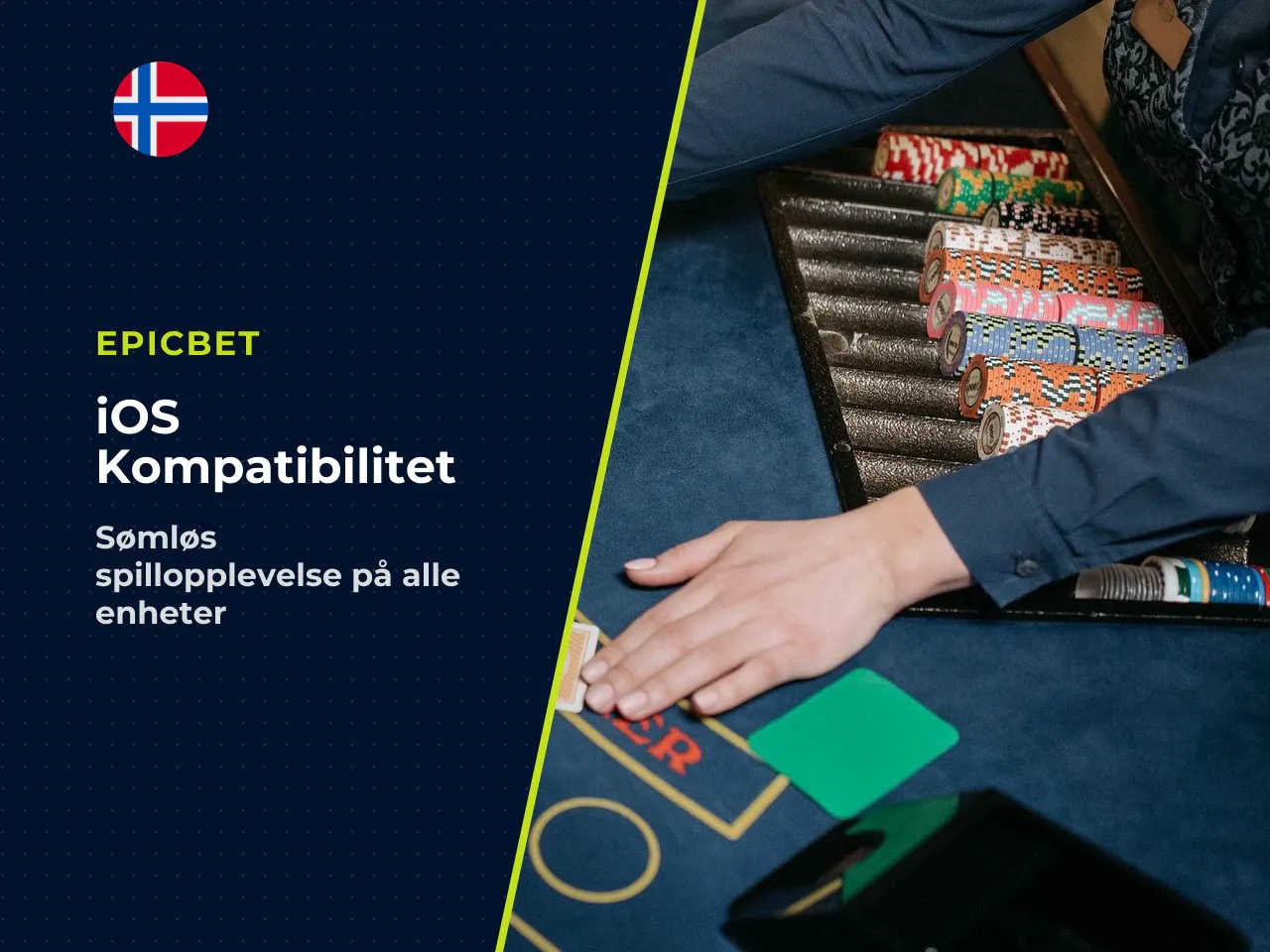 3.2 Kompatibilitet med iPhone og iPad