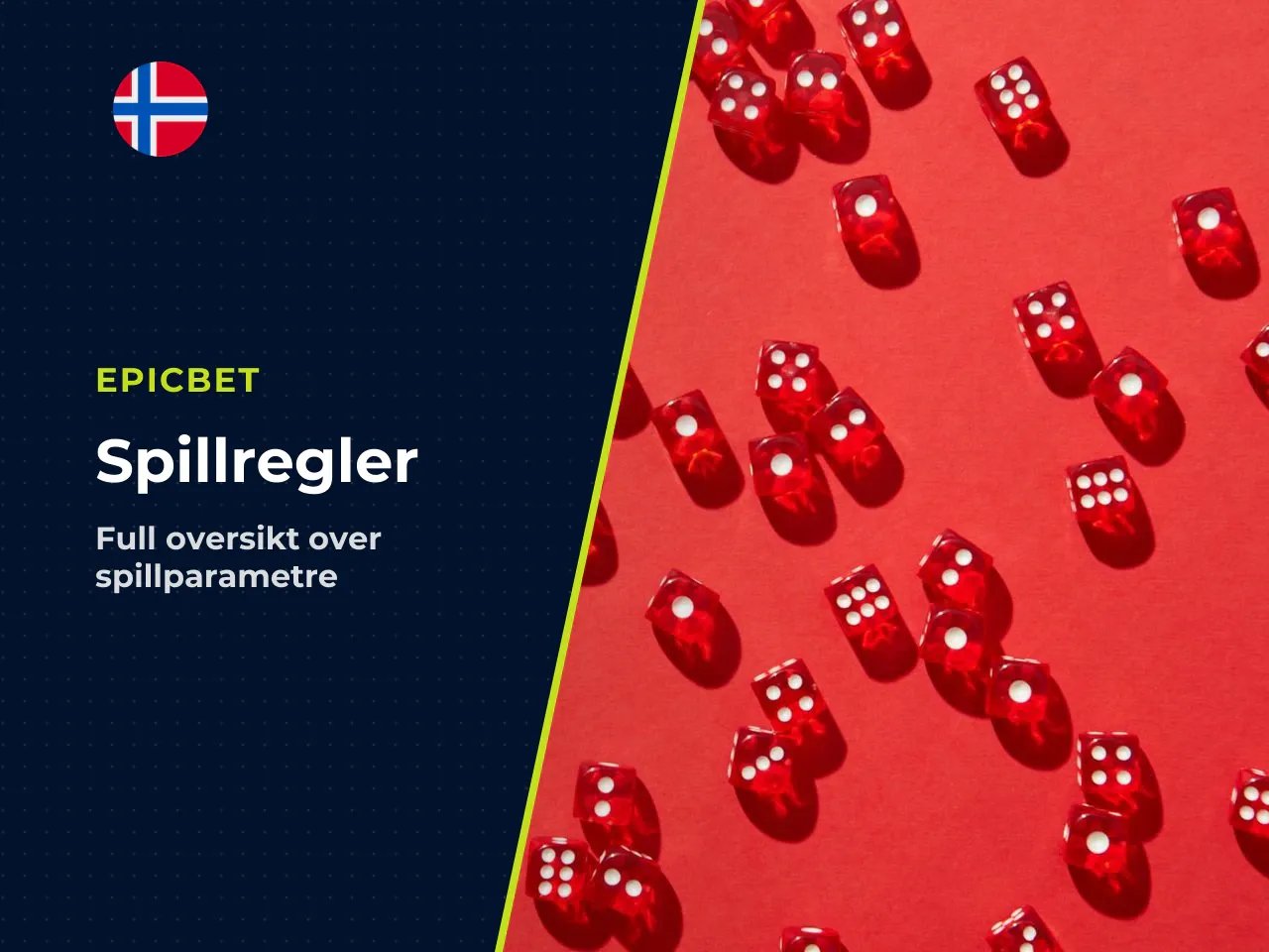 Appendiks B Kildegrunnlag og forbehold