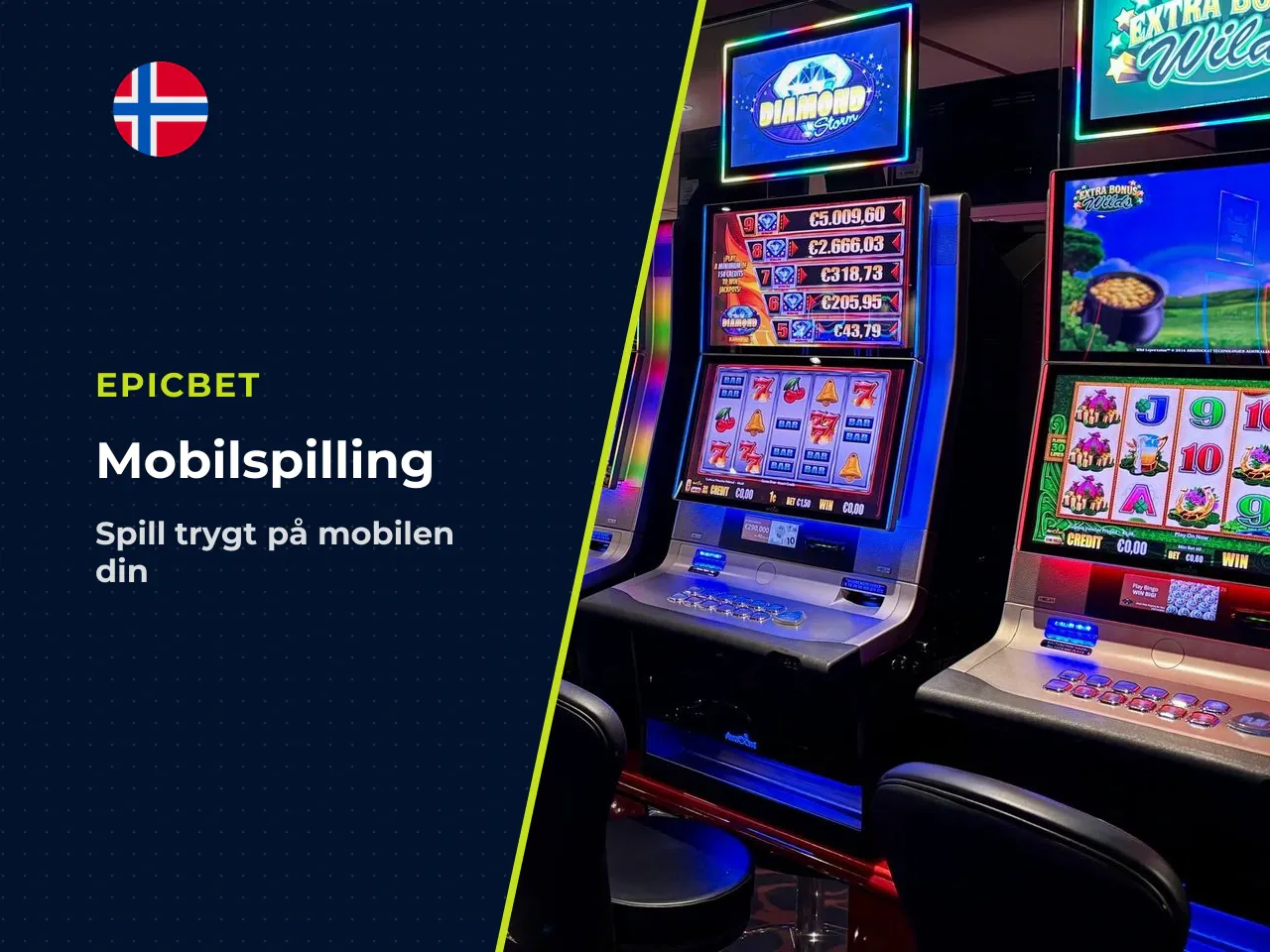 13.1 Brukeropplevelse og risiko ved mobilspill