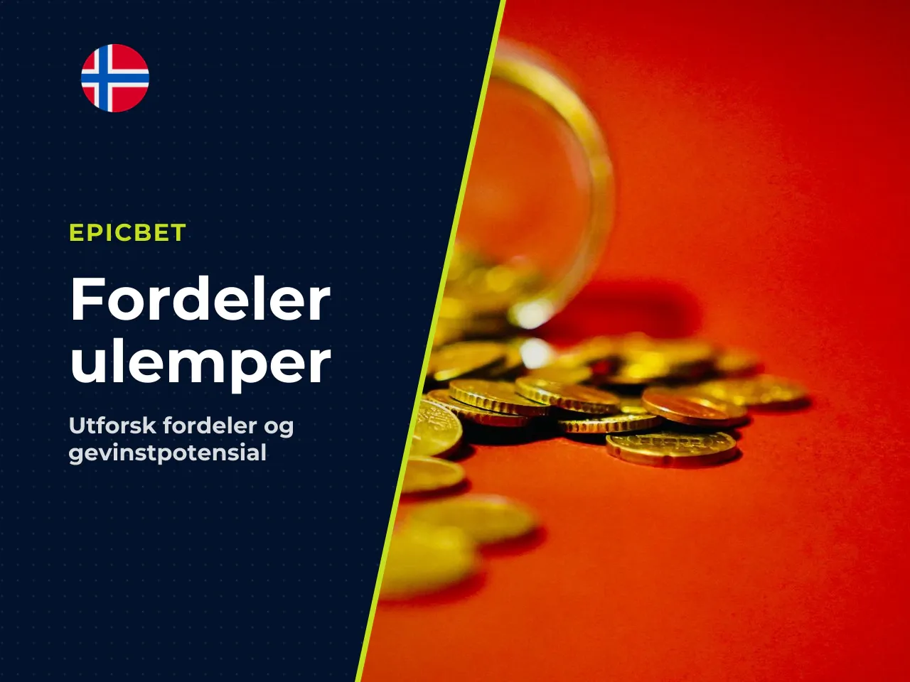 13. Fordeler og ulemper. Fordeler