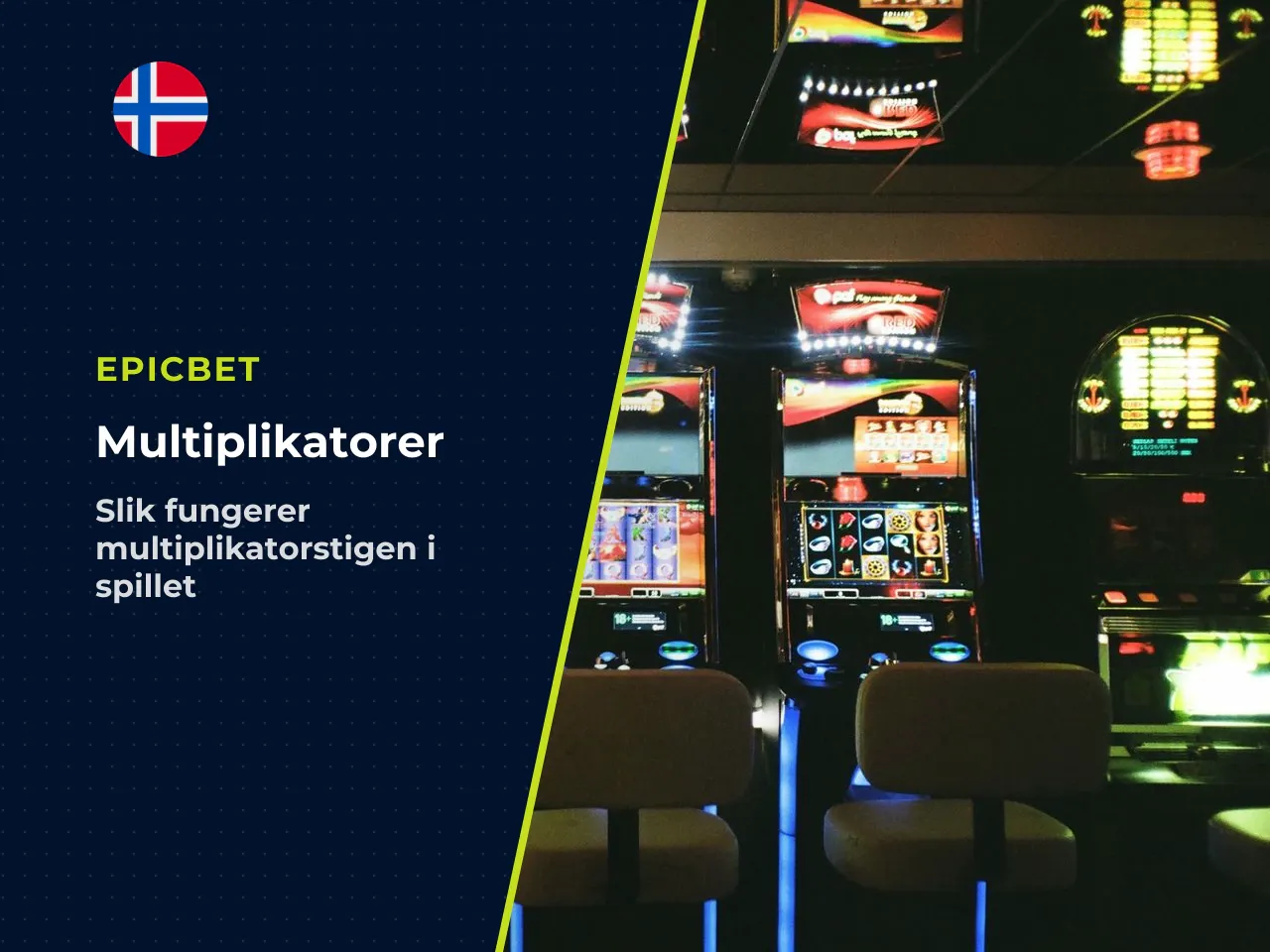 Multiplikatorfelt og oppbygging av multiplikatorer. Multiplikatorstigen