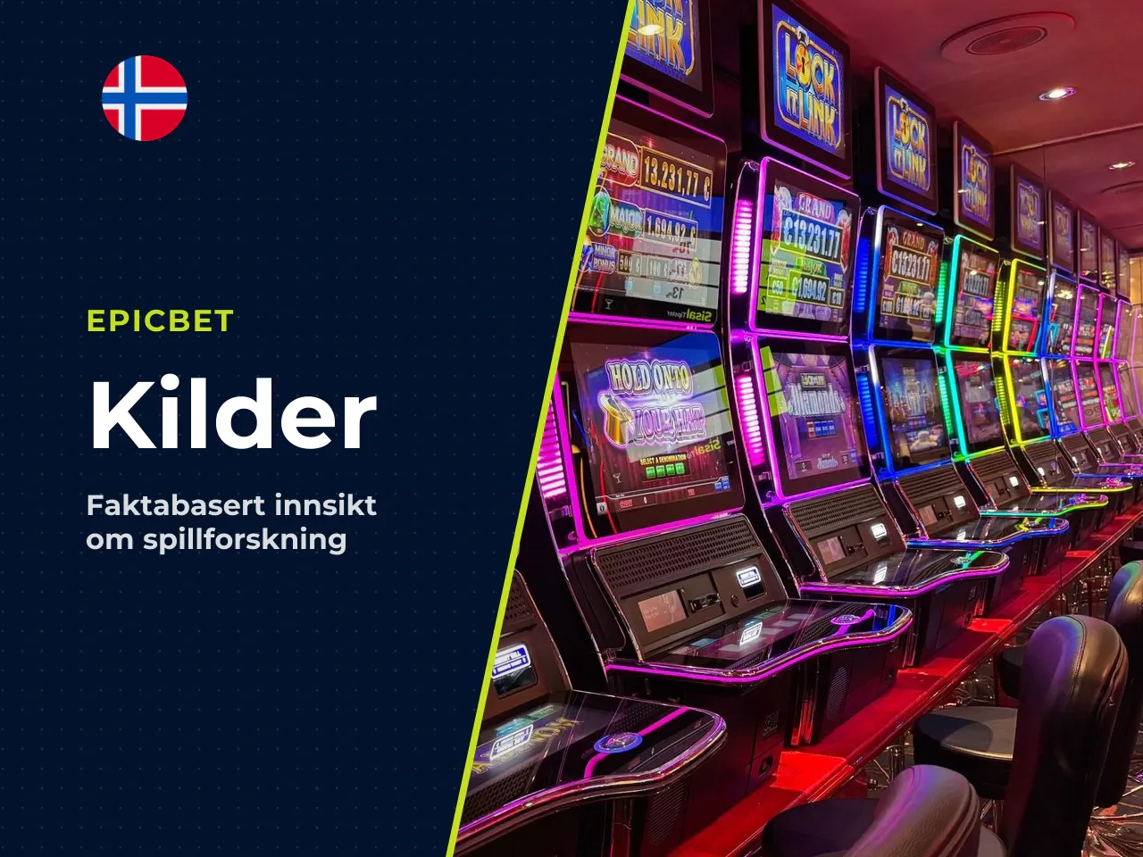 A.4 Kilder brukt i artikkelen