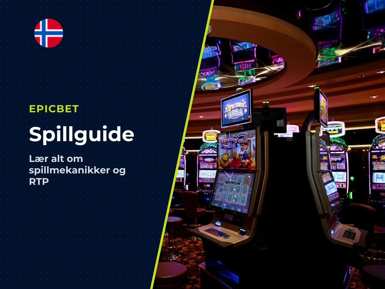 Hvorfor denne gjennomgangen er relevant for