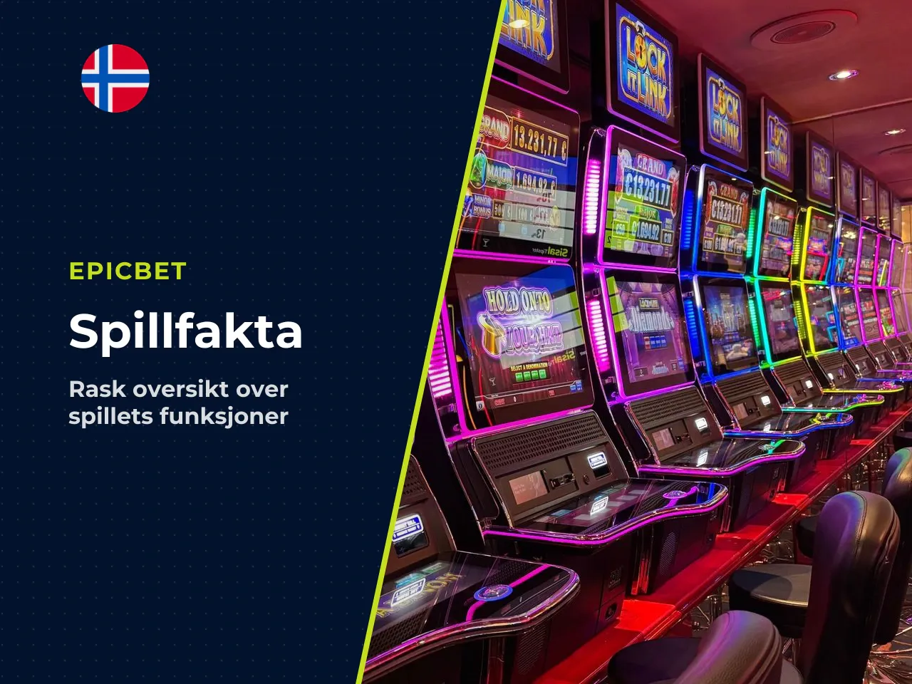 Kort oppsummering de viktigste fakta på