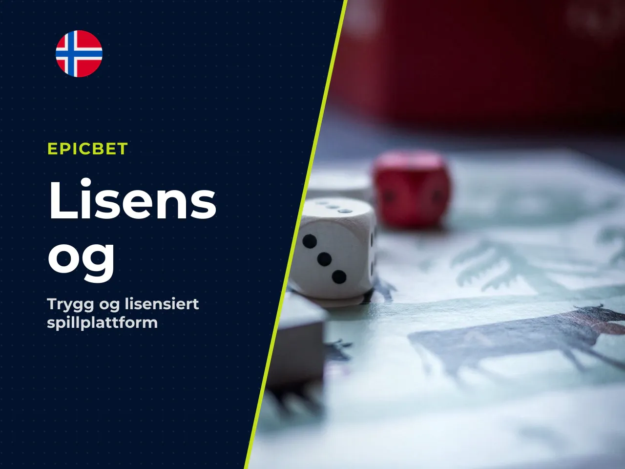 Lisens, juridisk status og skatt. Selskapet