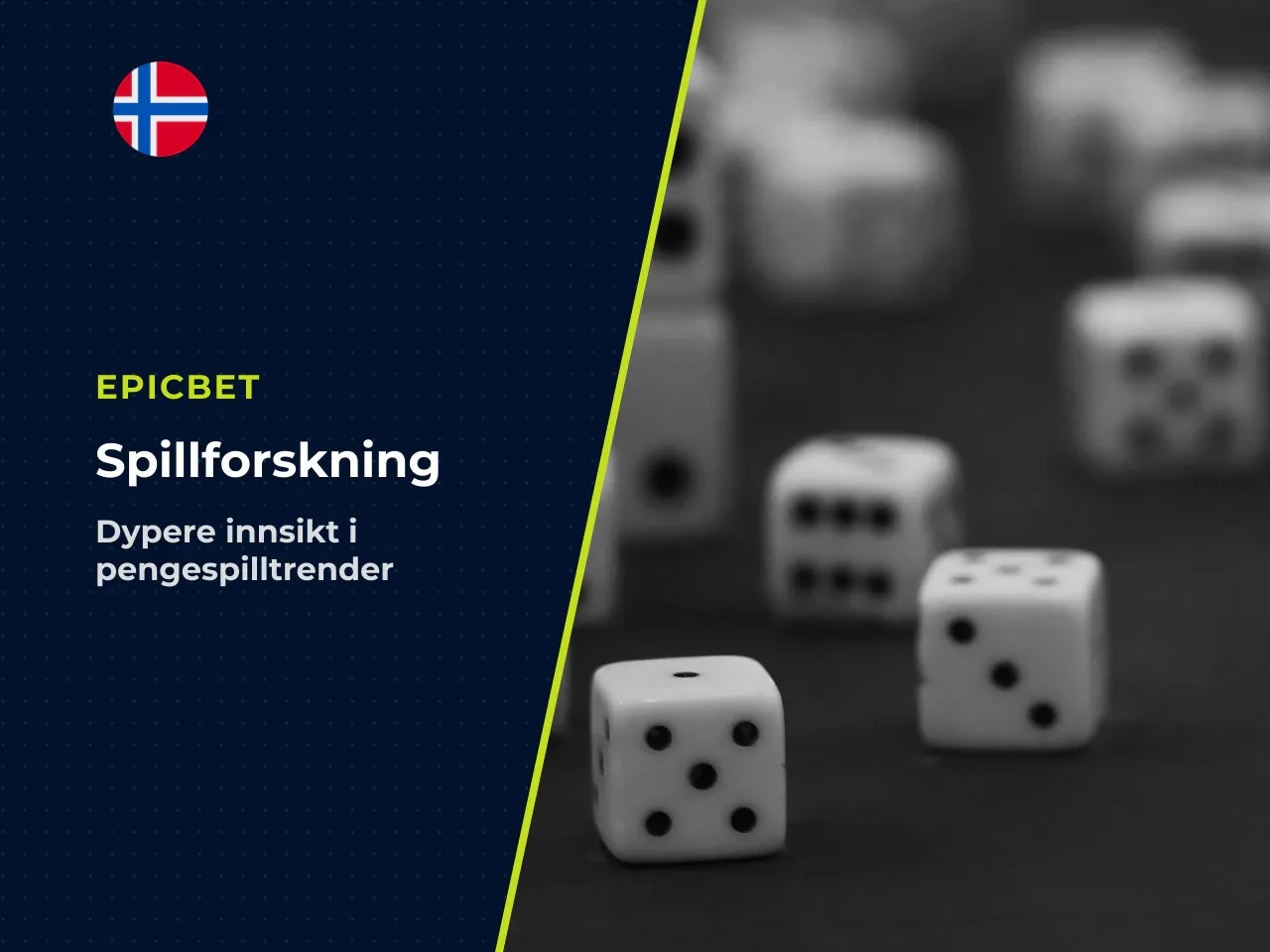 Tre kunnskapshull bør fylles 1 norske