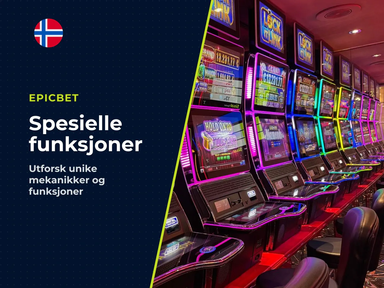 Spesielle fugleinteraksjoner Switcheroo og fuglekamp. Når